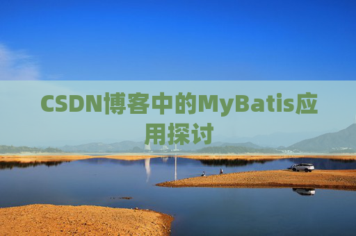 CSDN博客中的MyBatis应用探讨
